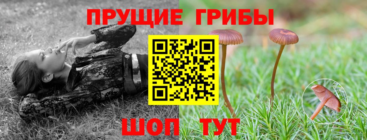 Псилоцибиновые грибы MAGIC MUSHROOMS Южно-Сахалинск